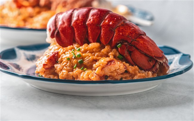 Image of Lobster Risotto